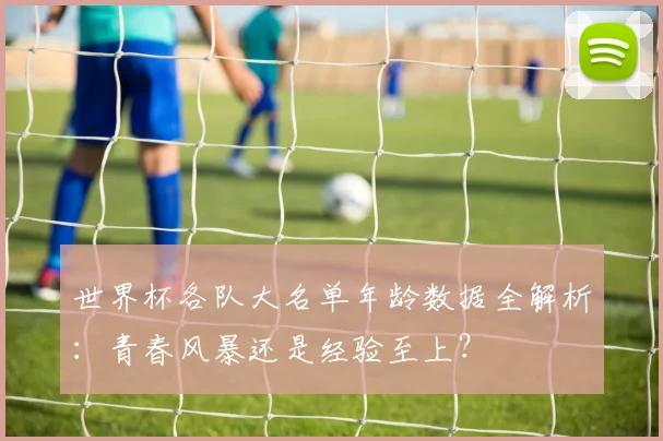 世界杯各队大名单年龄数据全解析：青春风暴还是经验至上？